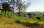 Land in Tigoni - 3