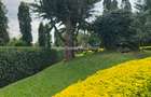 3 Bed House with En Suite in Muthaiga - 6