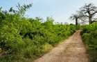 Land in Diani - 12