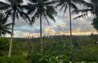 0.75 ac Land at Ls139 - 1