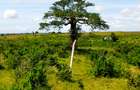 506 m² Land at Mavueni - Mariakani Bypass - 12