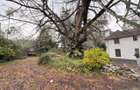 1.6 ac Land in Riverside - 4