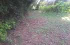 1.2 ac Land in Ngong - 4