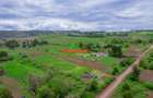 0.05 ha Residential Land at Nduiguine - 10