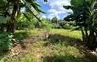 0.5 ac Land in Muthaiga - 4