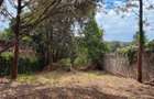 Land in Kiambu Road - 13