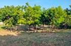 Land in Mtwapa - 9