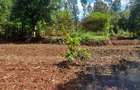 1.0 ac Land at Kandara Road - 8