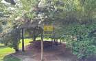 4 Bed House in Runda - 3