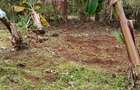 Land in Kinoo - 2