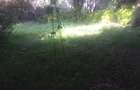 1.2 ac Land in Ngong - 6