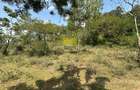 Land in Karen - 4