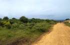 Land in Vipingo - 17