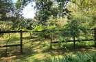1 ac Land in Karen - 3