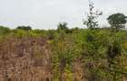 Land at Vipingo - 14
