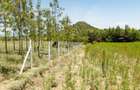 Land at Moi South Lake Road - 13