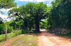 16,187.44 m² Land at Kilifi Bofa Beach Road - 2