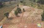 Land in Juja - 2