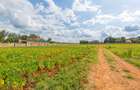 0.25 ac Residential Land at Njathaini Road - 6