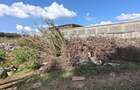 0.5 ac Land in Karen - 5