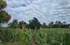 6 ac Land at Bomani - 12