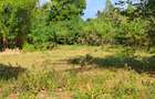 Land at Tiwi Near Diani South Coast - 17