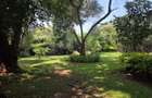 4 Bed House with En Suite in Loresho - 13