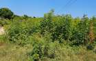 10,000 ft² Land at Shanzu - 5