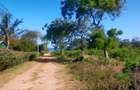 1,012 m² Land at Kikambala Beach - 18