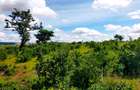 506 m² Land at Mavueni - Mariakani Bypass - 10