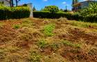 0.046 ha Land at Muthiga - 1