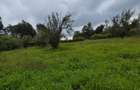 Commercial Land in Tigoni - 5