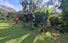 Serviced 1 Bed Apartment with En Suite in Rosslyn - 3