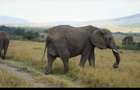 33 ac Land at Narok County - 2