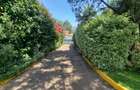 5 Bed House with Garden in Rosslyn - 3