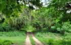 Land at Kuruwitu Beach Vipingo - 15