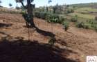 15 ac Land at Touching Nanyuki River - 4