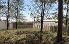 500 m² Residential Land at Ruiru-Githunguri Road - 17