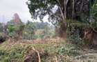 1 ac Land in Kitisuru - 11
