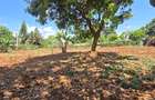 Residential Land at Flem Tree - 13