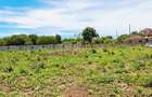 Land at Diani Beach - 17