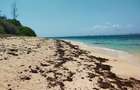 1,012 m² Residential Land at Seafront Estate - 16
