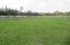 Residential Land at Ololua Ridge - 1