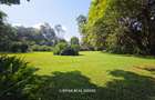 1.2 ac Land at Old Kitisuru - 3