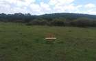 88 ac Land at Ol Choro Conservancy - 12