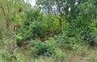 Land at Diani Beach Road - 7