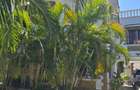 3 Bed House with En Suite at Serena - 2