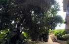 2 Bed Apartment with En Suite at Karen - 3