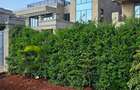0.125 ac Land at Thika Road - 10