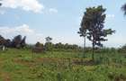 5 ac Land in Naivasha - 2